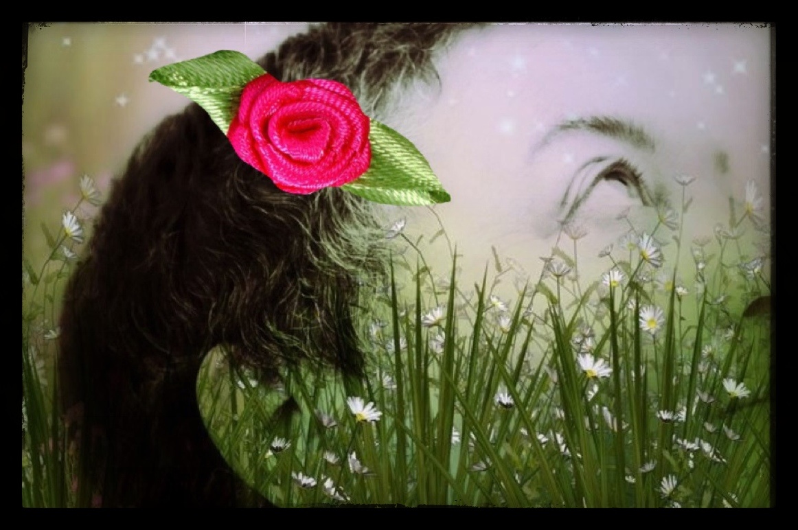 Pas de magasin P… donc voici ma rose à moi !